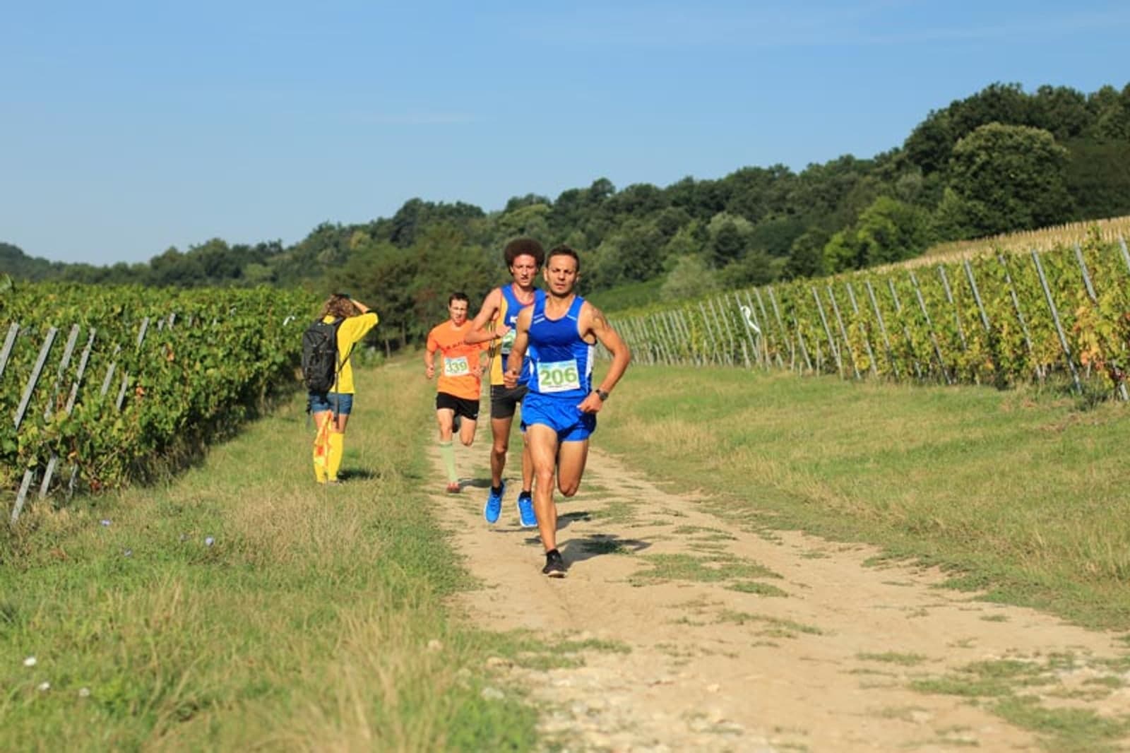 Alergători de trail printre rândurile de viță ale domeniului Corcova la Corcova Fest